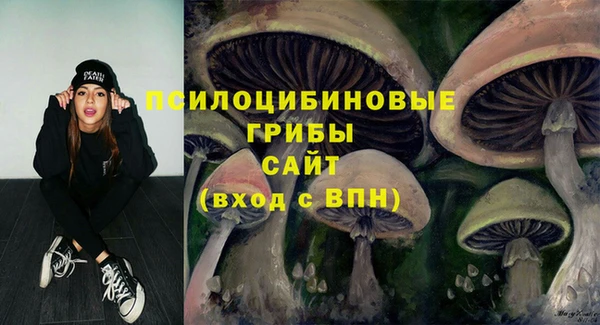 меф Кинешма
