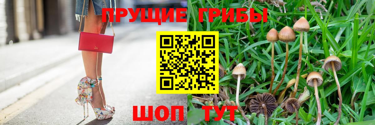 Галлюциногенные грибы Magic Shrooms  Вход с VPN  Людиново 