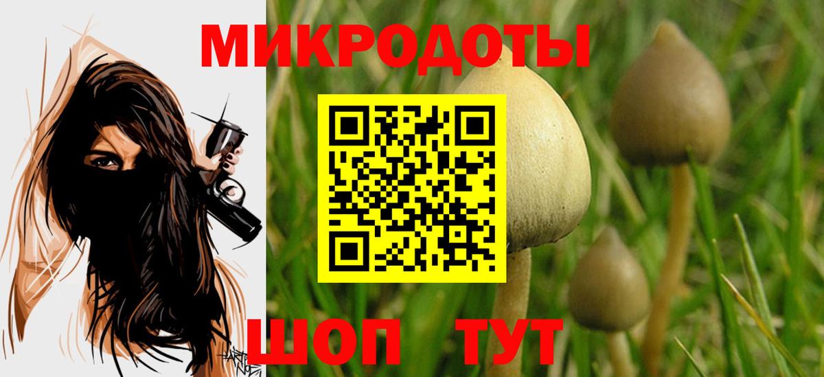 Псилоцибиновые грибы прущие грибы Людиново